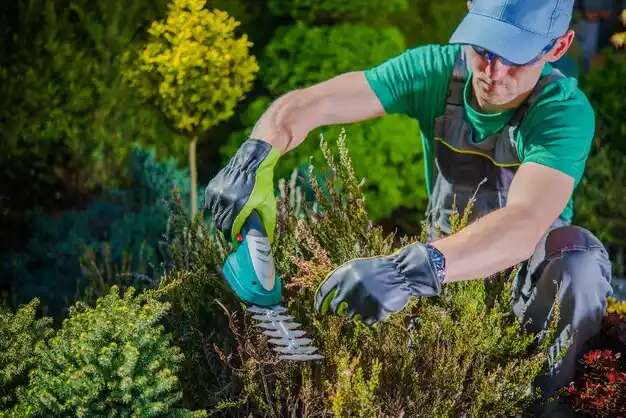 landscaping services Fitchburg